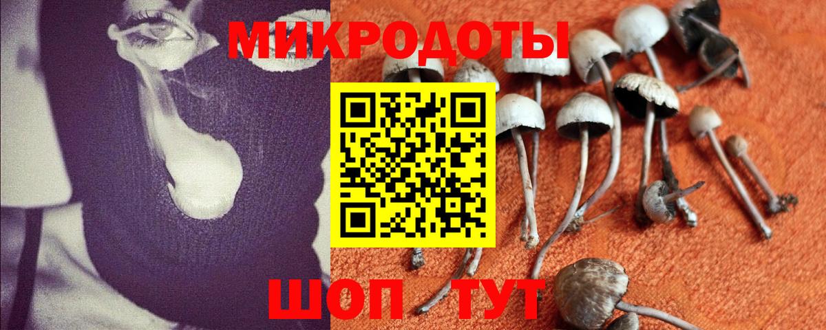 Псилоцибиновые грибы ЛСД Кушва