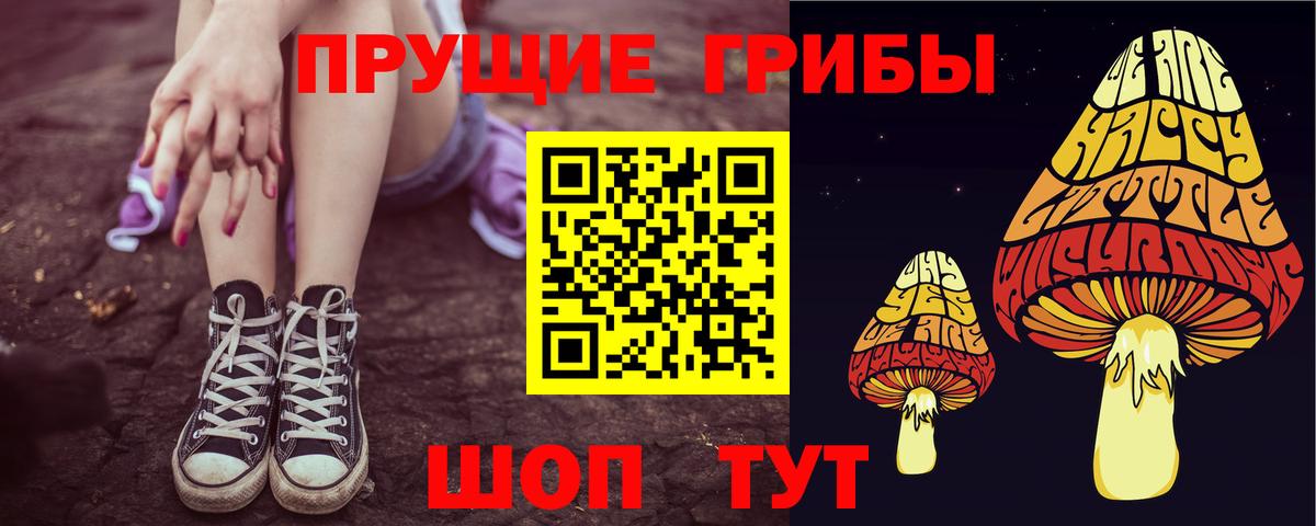 где продают   Галлюциногенные грибы Cubensis  Вход с VPN  Кушва  Псилоцибиновые грибы MAGIC MUSHROOMS 